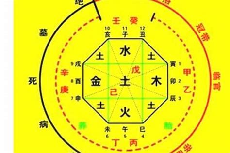 如何知道自己忌水|生辰八字算命、五行喜用神查詢（免費測算）